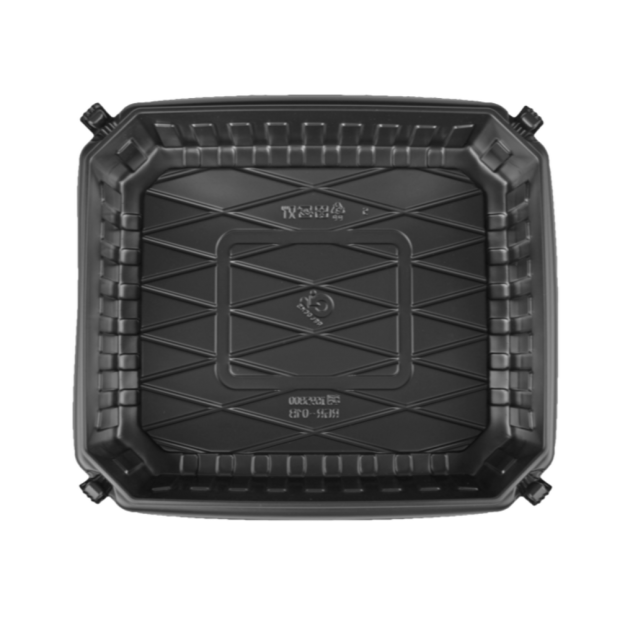 RGR-01.png