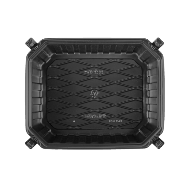 RGR-02.png