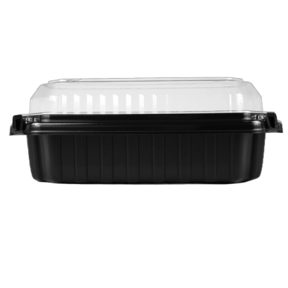 RGR-03-2.png