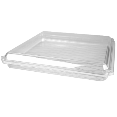 RS50-02.png